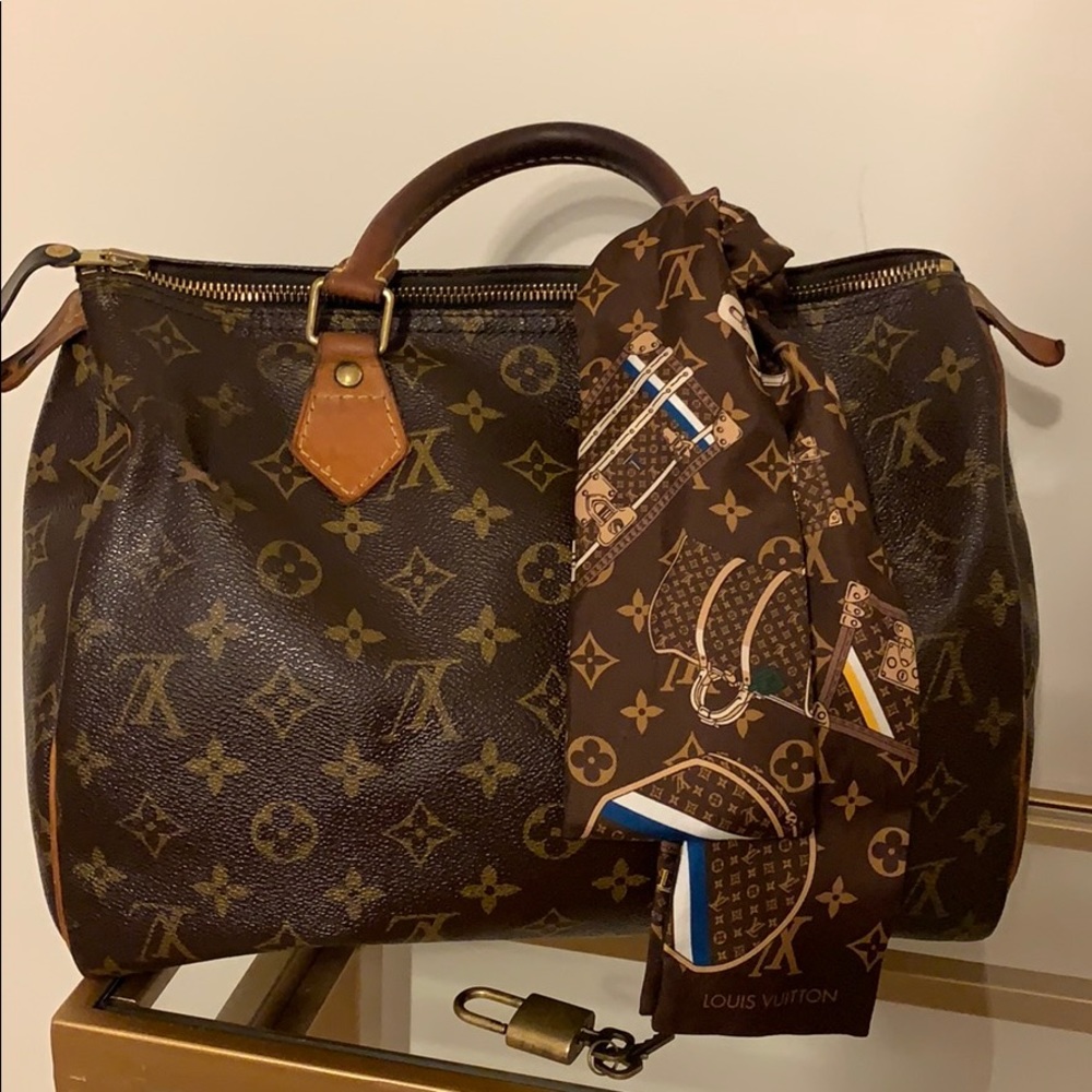 Louis Vuitton Speedy 30 Handbag